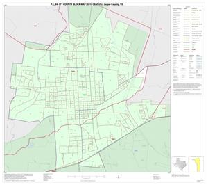 P.L. 94-171 County Block Map (2010 Census): Jasper County, Inset A01