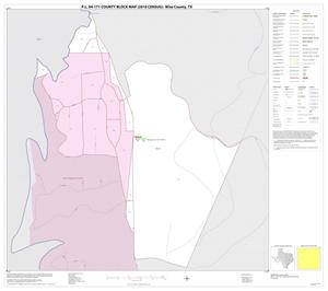 Primary view of object titled 'P.L. 94-171 County Block Map (2010 Census): Wise County, Inset D01'.