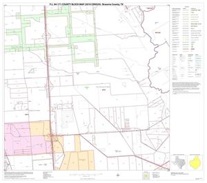 Primary view of object titled 'P.L. 94-171 County Block Map (2010 Census): Brazoria County, Block 10'.