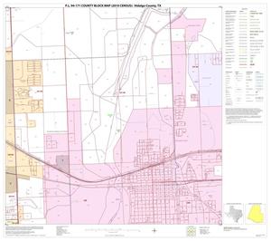 P.L. 94-171 County Block Map (2010 Census): Hidalgo County, Block 102