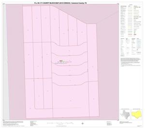 P.L. 94-171 County Block Map (2010 Census): Cameron County, Inset C01