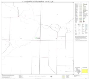Primary view of object titled 'P.L. 94-171 County Block Map (2010 Census): Dallam County, Block 11'.