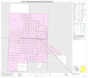 P.L. 94-171 County Block Map (2010 Census): Cochran County, Inset A01