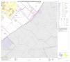 Primary view of P.L. 94-171 County Block Map (2010 Census): Hays County, Block 15