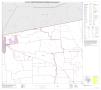 Map: P.L. 94-171 County Block Map (2010 Census): Hunt County, Block 3