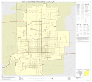 P.L. 94-171 County Block Map (2010 Census): Fannin County, Inset C01
