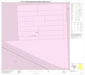 P.L. 94-171 County Block Map (2010 Census): Hidalgo County, Inset Y01