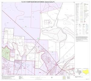 P.L. 94-171 County Block Map (2010 Census): Cameron County, Block 54