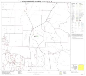 P.L. 94-171 County Block Map (2010 Census): Hutchinson County, Block 6