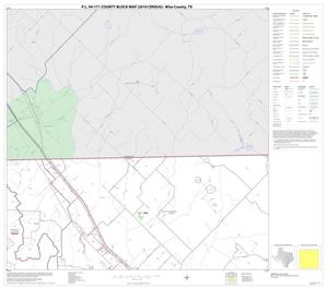 Primary view of object titled 'P.L. 94-171 County Block Map (2010 Census): Wise County, Block 3'.