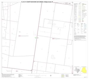 P.L. 94-171 County Block Map (2010 Census): Hidalgo County, Block 44