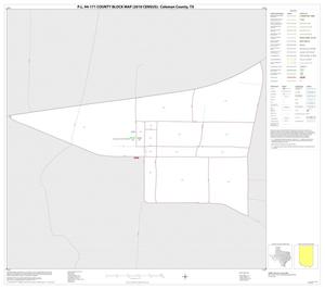 P.L. 94-171 County Block Map (2010 Census): Coleman County, Inset B01
