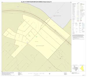 P.L. 94-171 County Block Map (2010 Census): Brazos County, Inset B01