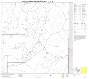 P.L. 94-171 County Block Map (2010 Census): Briscoe County, Block 6