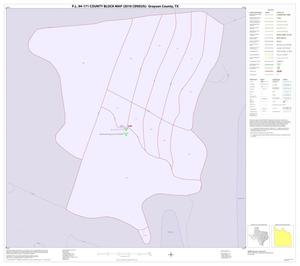 P.L. 94-171 County Block Map (2010 Census): Grayson County, Inset A01