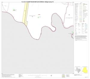 P.L. 94-171 County Block Map (2010 Census): Hidalgo County, Block 113