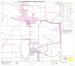 P.L. 94-171 County Block Map (2010 Census): Grayson County, Block 9