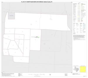 Primary view of object titled 'P.L. 94-171 County Block Map (2010 Census): Borden County, Inset B01'.