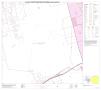 Primary view of P.L. 94-171 County Block Map (2010 Census): Ector County, Block 10
