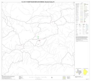 P.L. 94-171 County Block Map (2010 Census): Brewster County, Block 38