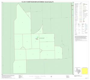 P.L. 94-171 County Block Map (2010 Census): Tarrant County, Inset V01
