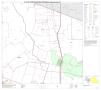 Primary view of P.L. 94-171 County Block Map (2010 Census): Atascosa County, Block 6