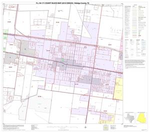 P.L. 94-171 County Block Map (2010 Census): Hidalgo County, Block 100
