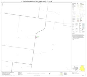 P.L. 94-171 County Block Map (2010 Census): Hidalgo County, Block 30