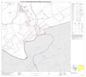 Primary view of object titled 'P.L. 94-171 County Block Map (2010 Census): Johnson County, Block 17'.