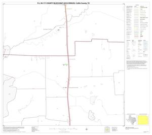 P.L. 94-171 County Block Map (2010 Census): Collin County, Block 48