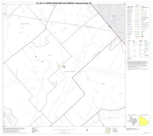 P.L. 94-171 County Block Map (2010 Census): Atascosa County, Block 17