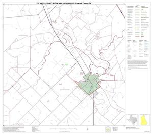 P.L. 94-171 County Block Map (2010 Census): Live Oak County, Block 10