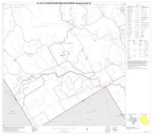Primary view of object titled 'P.L. 94-171 County Block Map (2010 Census): Bosque County, Block 22'.