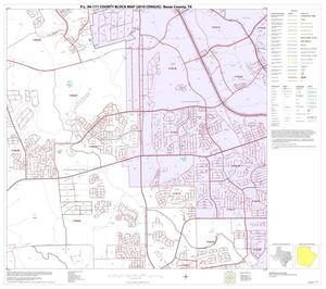P.L. 94-171 County Block Map (2010 Census): Bexar County, Block 31