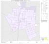 Primary view of P.L. 94-171 County Block Map (2010 Census): Williamson County, Inset F01