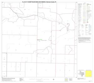 Primary view of object titled 'P.L. 94-171 County Block Map (2010 Census): Sherman County, Block 11'.