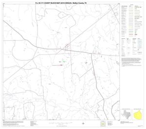 Primary view of object titled 'P.L. 94-171 County Block Map (2010 Census): Walker County, Block 12'.