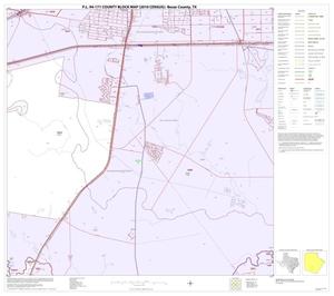 P.L. 94-171 County Block Map (2010 Census): Bexar County, Block 51