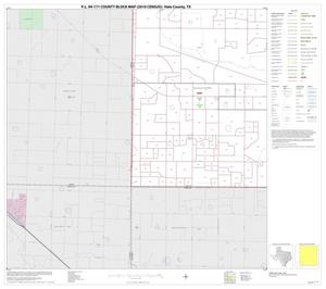 Primary view of object titled 'P.L. 94-171 County Block Map (2010 Census): Hale County, Block 13'.