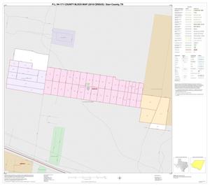 P.L. 94-171 County Block Map (2010 Census): Starr County, Inset J01