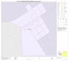 Thumbnail image of item number 1 in: 'P.L. 94-171 County Block Map (2010 Census): Parker County, Inset B01'.