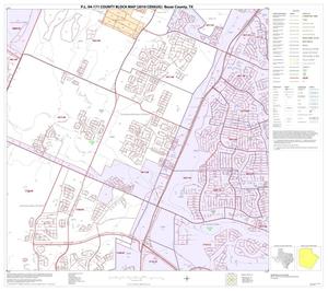 P.L. 94-171 County Block Map (2010 Census): Bexar County, Block 22