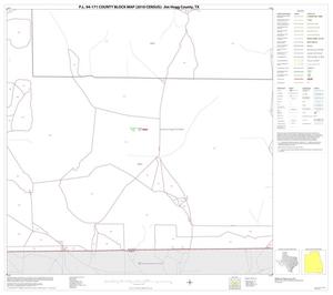 P.L. 94-171 County Block Map (2010 Census): Jim Hogg County, Block 22