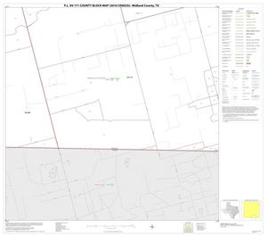 Primary view of object titled 'P.L. 94-171 County Block Map (2010 Census): Midland County, Block 15'.