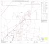 Map: P.L. 94-171 County Block Map (2010 Census): Starr County, Block 18