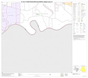 P.L. 94-171 County Block Map (2010 Census): Hidalgo County, Block 117