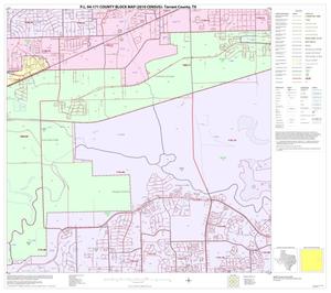 P.L. 94-171 County Block Map (2010 Census): Tarrant County, Block 31