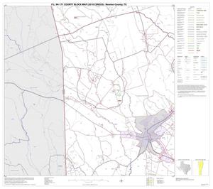 P.L. 94-171 County Block Map (2010 Census): Newton County, Block 4
