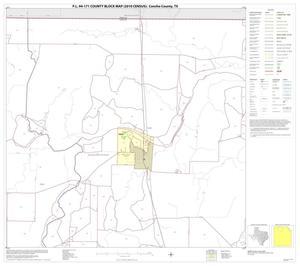 Primary view of object titled 'P.L. 94-171 County Block Map (2010 Census): Concho County, Block 2'.