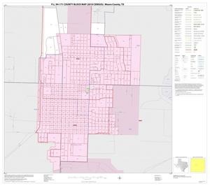 Primary view of object titled 'P.L. 94-171 County Block Map (2010 Census): Moore County, Inset C01'.
